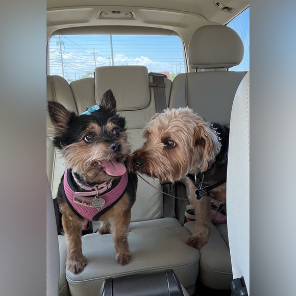 Meet your Posher, Eny - Picture 12 of 14